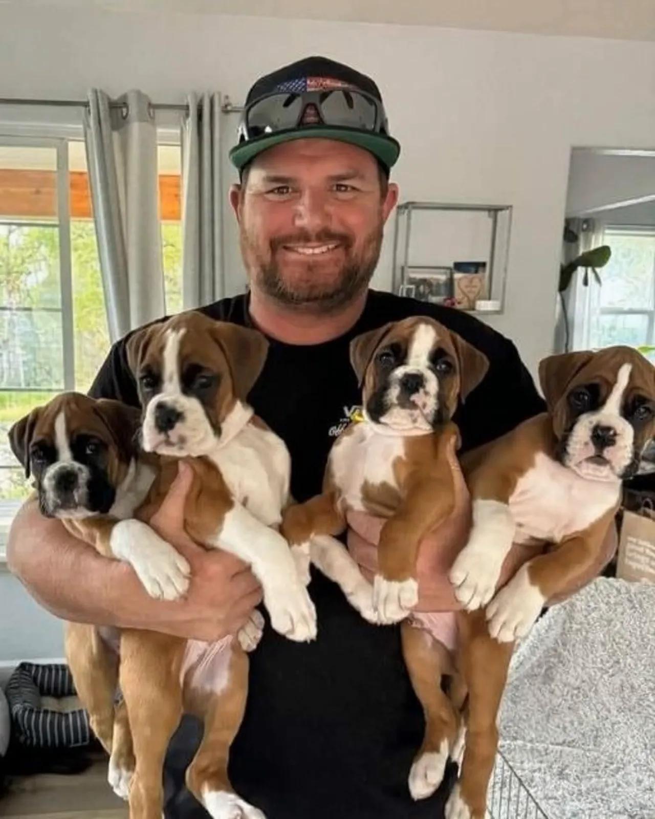I FOUND FOUR BOXER PUPPIES ON THE SIDE OF THE ROAD—AND ONE OF THEM HAD A COLLAR