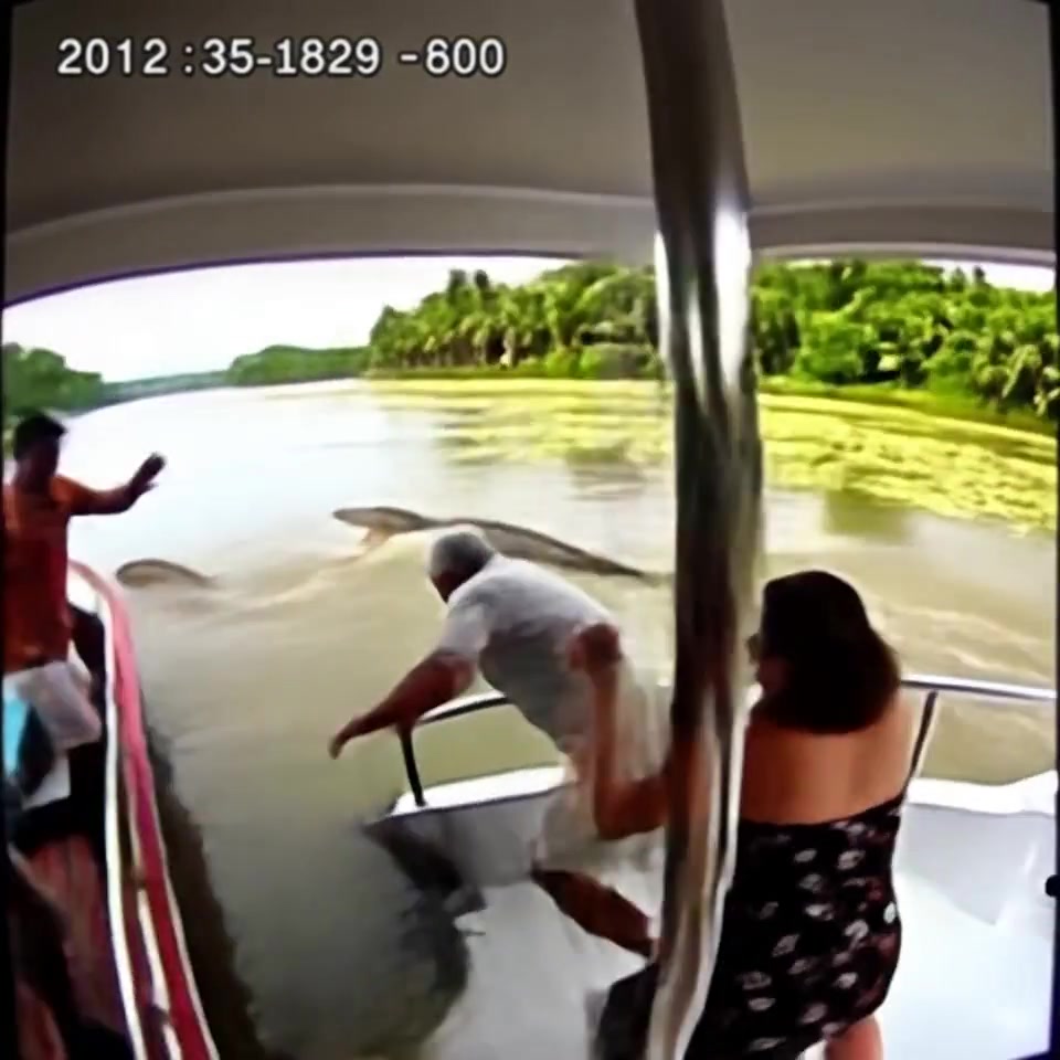 “Go Down To The River With The Crocodiles,” My Daughter-in-law Whispered As She Pushed Me